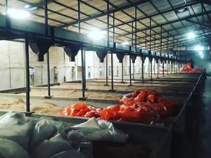 چین کانوایر صنعتی انتقال دهنده