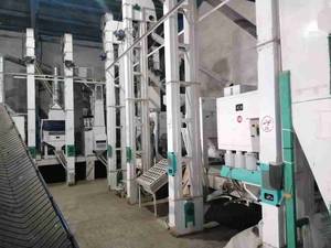 شالیکوبی مدرن زرین دانه