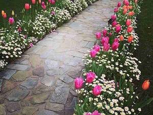 اجرای سنگ لاشه نصب سنگ ورقه ای