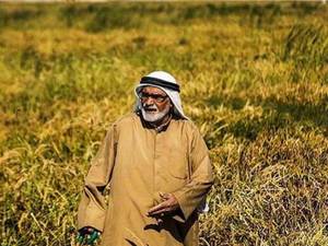 خرید و فروش برنج بصورت عمده در اهواز