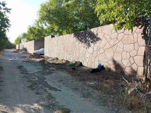 نصف سنگ  کوهی محمود ی