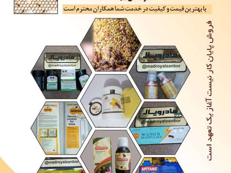 شرکت ماد رویال