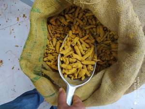 قلم زردچوبه درعطاری بوشهر