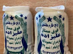 شالیکوبی علیزاده در مازندران