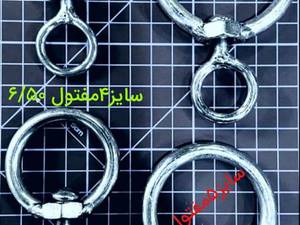 انواع تابگردان در سایز های مختلف