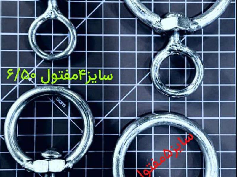 انواع تابگردان در سایز های مختلف