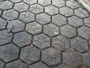 اجرای سنگ لاشه واجرای سنگ مالون سنگ کوهی