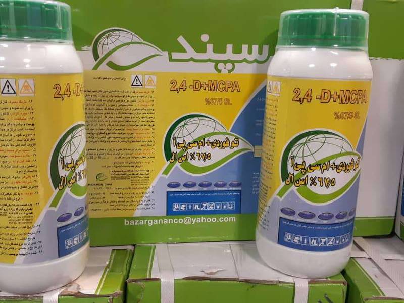 توفوردی چینی در کرج