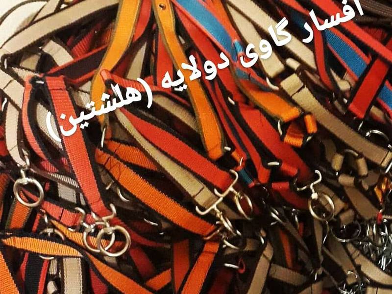افسار گاوی دولایه