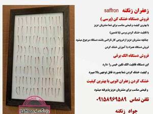 زعفران زنگنه در مشهد