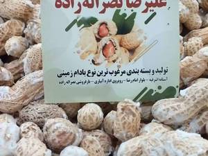 تولید بسته بندی بادام زمینی در آستانه اشرفیه