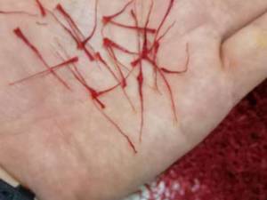 پخش عمده نگین سوپر در خراسان رضوی