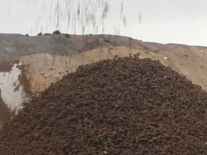 پوکه نخودی