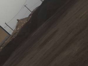 پوکه ماسه ای