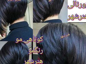 خدمات کوتاهی ژورنالی