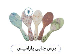 برس چاپی پارامیس