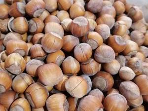 فندق سرشار از مواد مغذی در آستانه