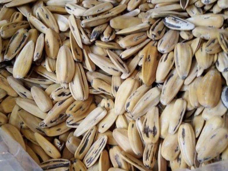 خواص تخمه آفتابگردان در آجیل پزی عدالت