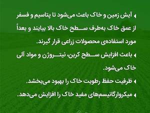 نهالستان تخصصی فارس نهال