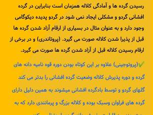 نهالستان تخصصی فارس نهال