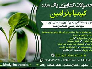 کیمیا بذر امین تبریز