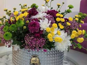 باکس بله برون و خواستگاری در مازندران