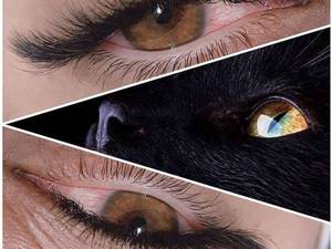 اکستنشن تمامی خدمات مژه در شیراز