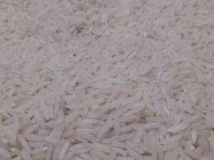 فروش برنج هاشمی ارسال از رشت
