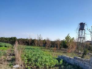 فروش زمین باغی در قواره کوچک