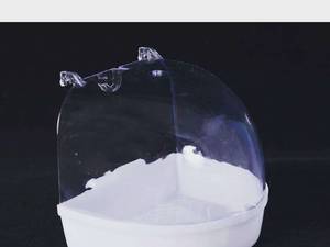وان بیرون قفس پرنده