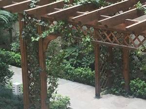 طرح، محاسبه ،اجرای سازه، تاسیسات ، معماری، نماو دکوراسیون داخلی