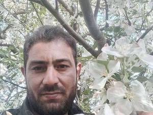 فروش انواع نهال خاص در میاندواب