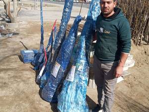 مجموعه تخصصی نهال سبزطلا