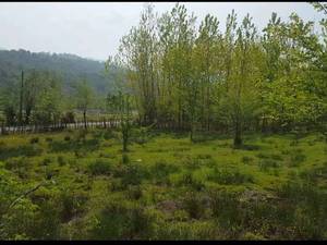 ۱۱۴۰ متر کاملا مسکونی  با چشم انداز  بسیار زیبا