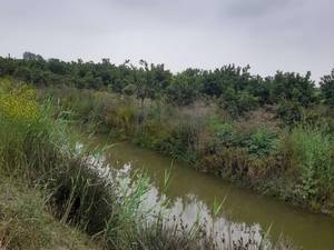فروش زمین باغی