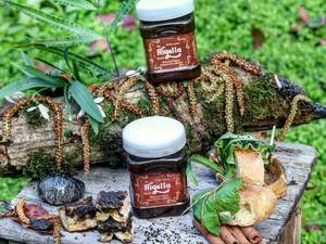 عطاری ناب در اصفهان