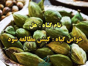 عطاری ناب در اصفهان