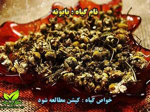 عطاری ناب در اصفهان