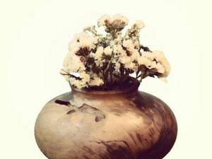 کارگاه صنایع چوبی آبنوس