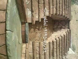 چه نوع سمگ برای پله و آنما مناسب است؟