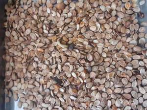 عطاری سبزپور در تربت جام