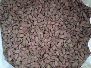 عطاری سبزپور در تربت جام