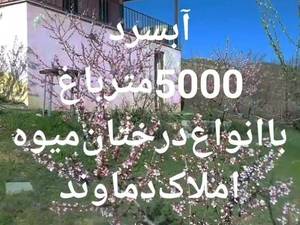املاک دماوند در آب سرد