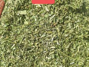 خواص دانه های شنبلیله در  گیاهان دارویی رزگل