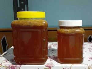 عسل صخره مش در شیراز