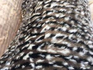 پارچه سرای قدرتی در تهران