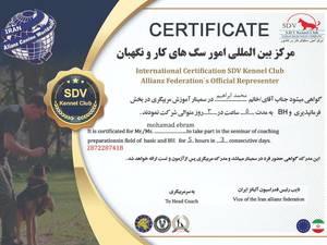 اموزش مربیگری سگ در کرج