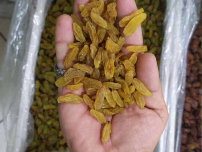 کشمش طلایی آجیلی کاشمر در تهران