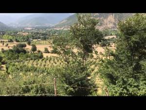 فروش زمین کجور  کندلوس ؛ توسط املاک کیان نوین چالوس