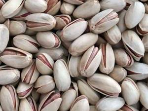 پسته اکبری خام درشت تازه در فارس